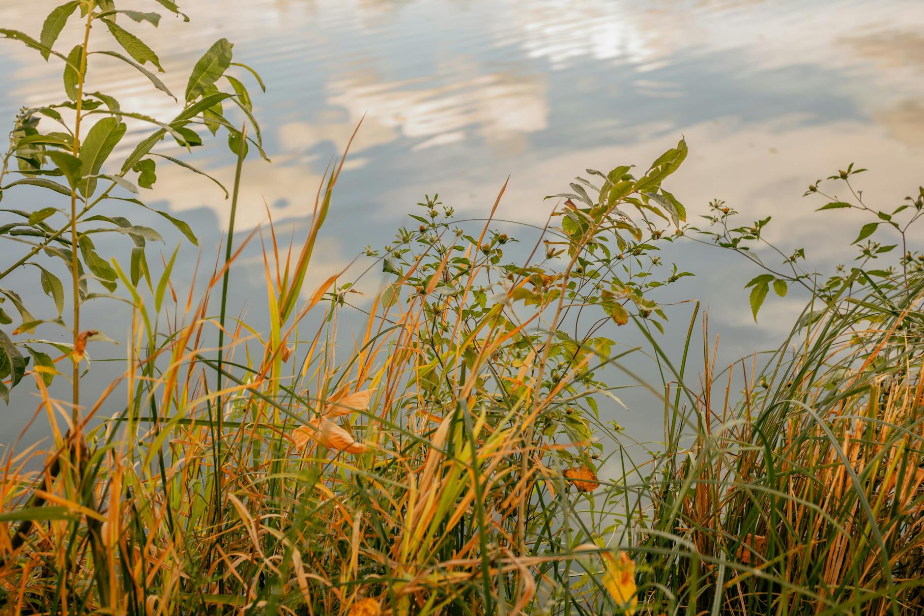 Lac de Vouglans : tout savoir sur ce joyau du Jura